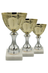 CTS 101 | SET de 3 Cupe Sportive - TrophyShop